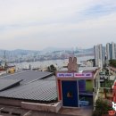 세일러스토어 - 439162 | 부산 영도 미피카페 안 미피스토어 후기 부산 자갈치 에디션 과 부산 세일러 미피