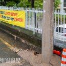 화봉로 이미지