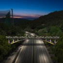 시민의 솟음길 이미지