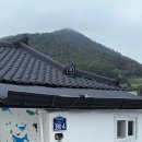 카멜리아펜션민박 네이버블로그
