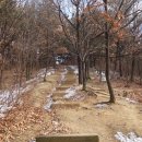 동산초등길 Daum카페