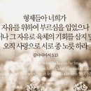 자유로 육체의 기회를 삼지 말고 오직 사랑으로(갈5:13) 이미지