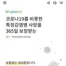 라이프 이미지