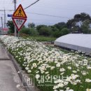 길따라행복 이미지