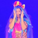 파파보니