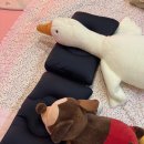 4842 | 을지로 이색 원데이클래스 <안지혜 아지트> 떡케이크 후기