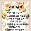 김호증모 가발 수정 헤어
