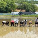 공감 사회적협동조합 이미지