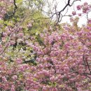 선동1리경로당 이미지