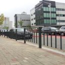 어남약쑥 이미지