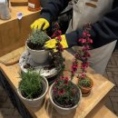 중수농장 | [용인] 가든온마당 :: 초보식집사를 위한 근교 플랜트샵 추천 | 도매가로 식물 구매 후 분갈이까지...