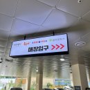 핑핑 | 수원역 중국집 맛집 혼밥 가능한 중식당 핑핑반점 후기
