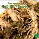 황토 심마니 네이버블로그