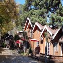 소나무향기펜션 이미지