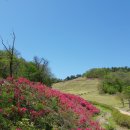입점리고분전시관 이미지