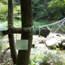 꿈꾸는유배지늡다리 이미지