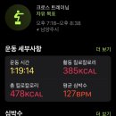 크로스핏 베어 이미지