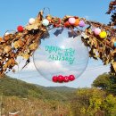 일마레민박 | 가평 사과체험 포토존 가득 아이와 가볼만한곳 명지산농원