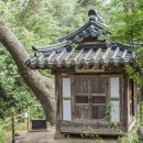 가야산칠불봉야생화마을 이미지