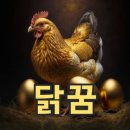 닭 티스토리