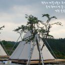 [영천글램핑,영천가볼만한곳] 영천삼밭골 승마체험, 글램핑 체험