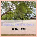 주빌리(Jubilee) | 여행기 퀸스타운] 주빌리 공원 - #여행 11일차 뉴질랜드 퀸스타운 공원 Jubilee Park 솔직 리뷰 후기