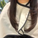 아리수로 | 강동구 강일동 미용실 톤드헤어 클리닉 후기, 효과