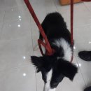 상동지구대 이미지
