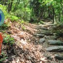 수락산 순환산책로 이미지