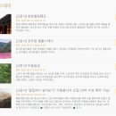 스테이청춘 이미지