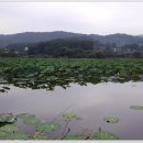 월랑 아파트 이미지