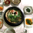 바위집염소 이미지