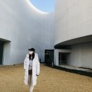 미메시스 아트 뮤지엄 이미지