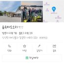 숲속파도소리 | 해루질 환자가 사는 태안 숲속파도소리팬션