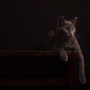 골프존마켓 광장점 이미지