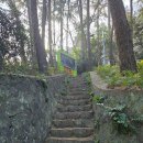 제주불교성지 순례길 절로 가는길 - 인욕의 길 | 제주 민오름 주차정보 및 특징(월정사, 정실본향당은 인근 플러스~)