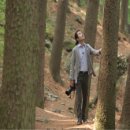 축령산 농장 이미지