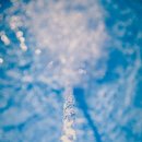 대구감천초등학교 이미지