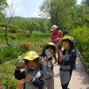 백곡초교 병설유치원 이미지