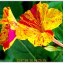 동남아파트 이미지