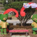 마산1로 느티나무길 이미지