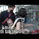 경화시장로 이미지