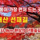 가을에 평창 가볼만한곳 단풍 명소 오대산 선재길 단풍 시기 6곳 이미지