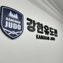 강한유도관