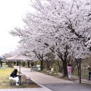 260331살곶이다리-용답매화마을- 청계천-마장역 (춘수대장님) 이미지