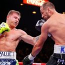 분당W복싱센터 이미지