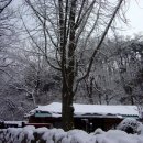 하얀이불 이미지