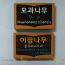 성진ENG 네이버블로그