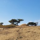 사하구 제석로 이미지