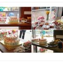 동물병원 이야기 이미지